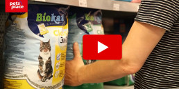 hoe voorkom ik nare luchtjes van de kattenbak