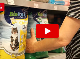 hoe voorkom ik nare luchtjes van de kattenbak