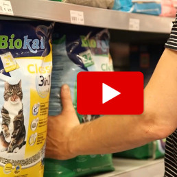 hoe voorkom ik nare luchtjes van de kattenbak