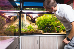 set up an aquarium