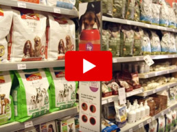 voeding oudere honden