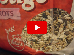 Wat is het beste vogelvoer voor jouw vogel?