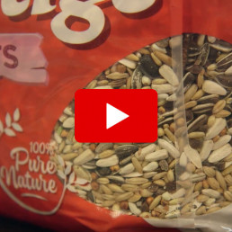 Wat is het beste vogelvoer voor jouw vogel?