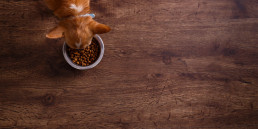 pets place naturals