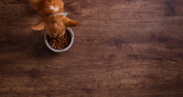 pets place naturals