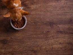 pets place naturals