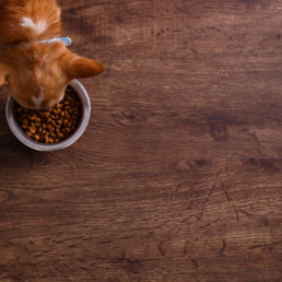 pets place naturals