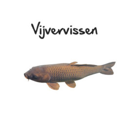 vijvervissen subpagina