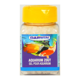zout