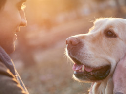 hond waar moet je rekening mee houden