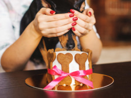 Huisdier jarig dierendag