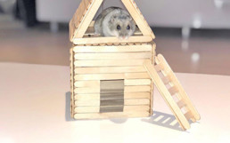 hamster huis
