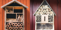 Insectenhotel ophangen