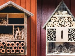 Insectenhotel ophangen