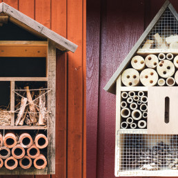 Insectenhotel ophangen