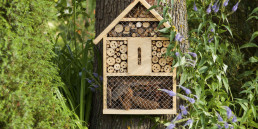 Insectenhotel maken