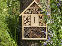 Insectenhotel maken