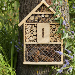 Insectenhotel maken