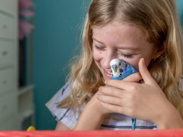 Lichaamstaal vogel kennen