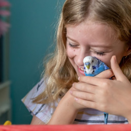 Lichaamstaal vogel kennen