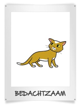 bedachtzaam lichaamstaal kat