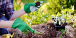 Tuinhandschoenen