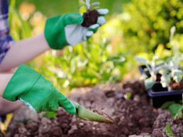 Tuinhandschoenen