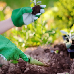 Tuinhandschoenen