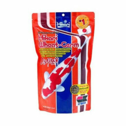 hikari wheat