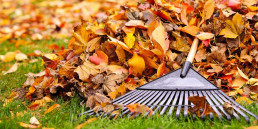 herfst
