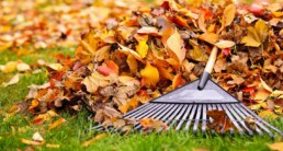 herfst