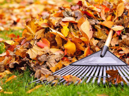 herfst