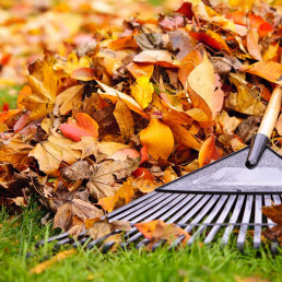herfst
