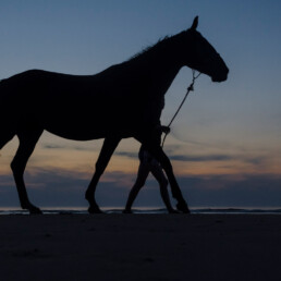 Verlichting paard - paardrijden in het donker