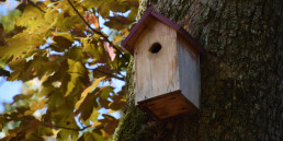 Vogelhuisjes schoonmaken