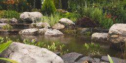 waterwaardes vijver