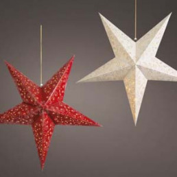 Lumineo Ster Raamdecoratie Met Led - Decoratie - Ø60 cm Warm Wit 20 led