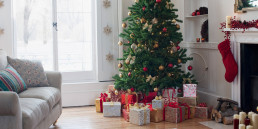 Verschillende soorten kerstbomen
