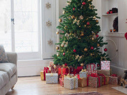 Verschillende soorten kerstbomen