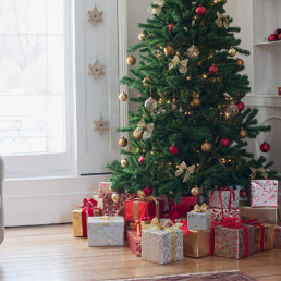 Verschillende soorten kerstbomen