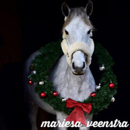 mariesa_veenstra