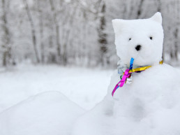 dier sneeuwpop maken