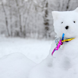 dier sneeuwpop maken
