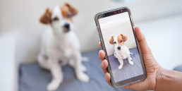 influencer worden