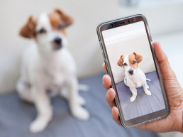influencer worden