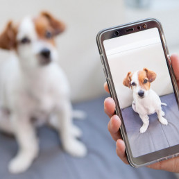 influencer worden