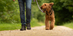 Wandelkleding