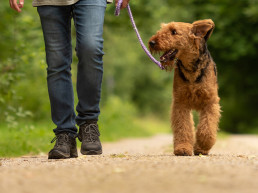 Wandelkleding
