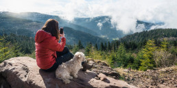 Hond mee naar Duitsland