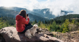 Hond mee naar Duitsland